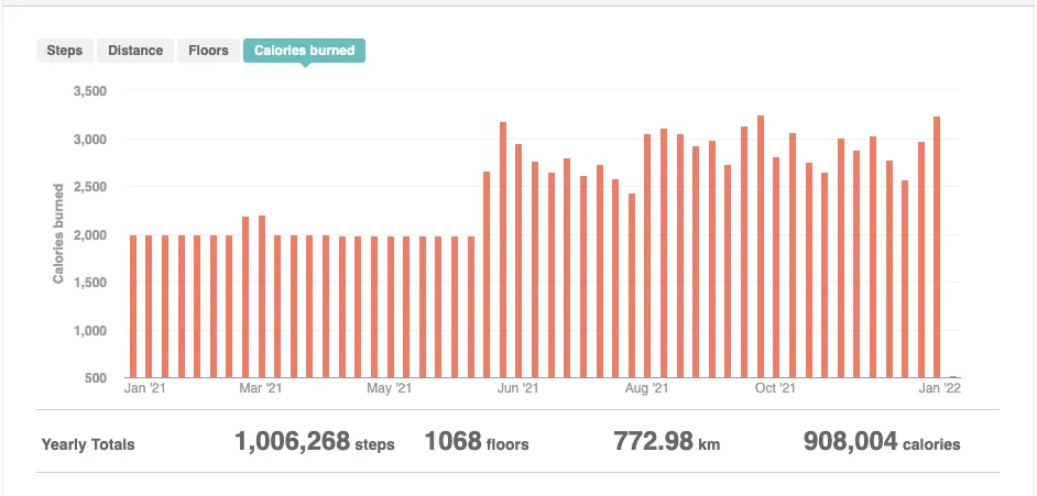Fitbit dashboard showing yearly activity and step statistics